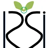 RSI - Logo